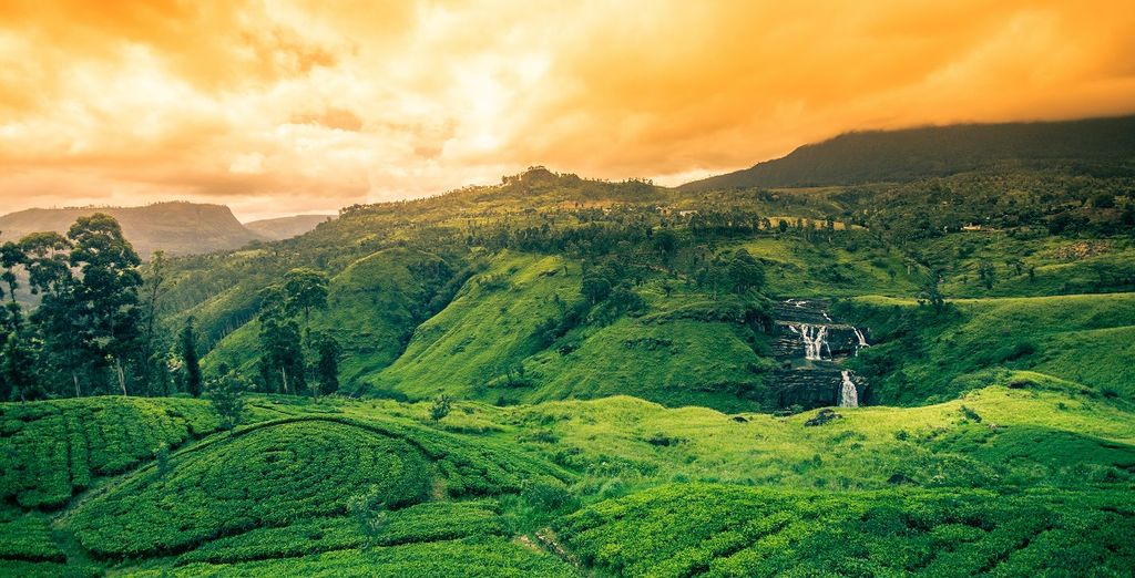Tour privato Sri Lanka + Tangerine Beach Hotel 4*