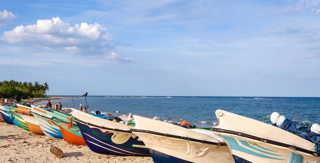 Tour privato Sri Lanka + Tangerine Beach Hotel 4*