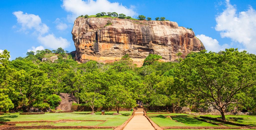 Tour privato Sri Lanka + Tangerine Beach Hotel 4*