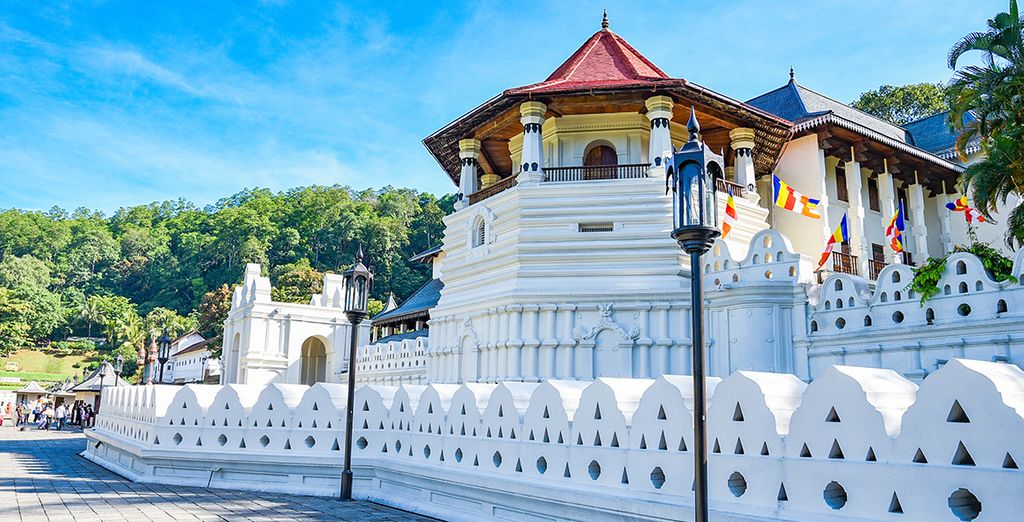 Tour privato Sri Lanka + Tangerine Beach Hotel 4*