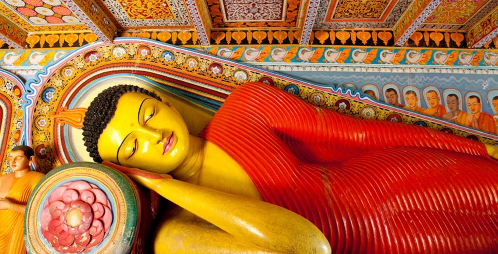 Tour privato Sri Lanka + Tangerine Beach Hotel 4*
