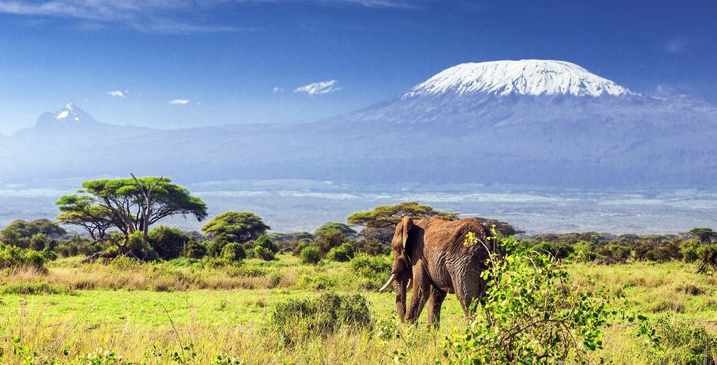 Swahili Beach Resort 5* + Safari