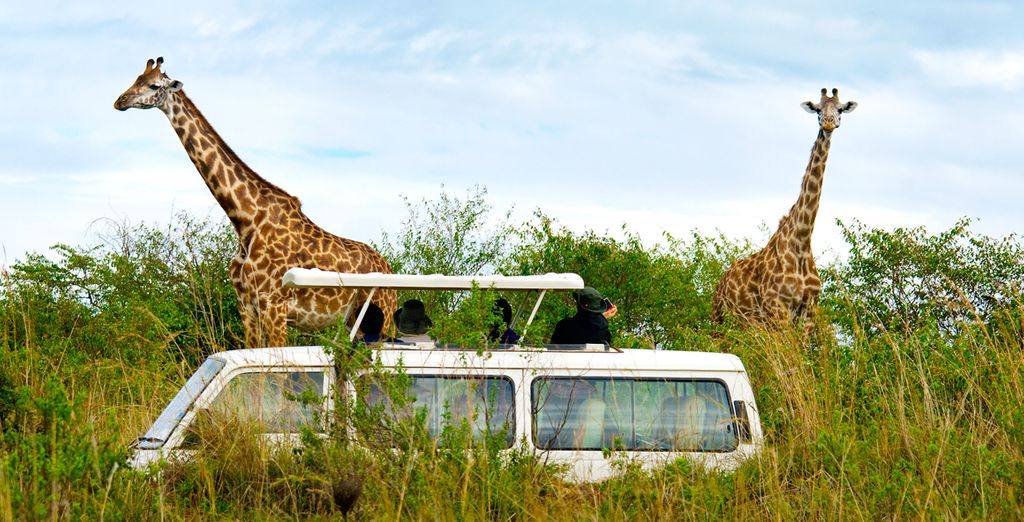 Swahili Beach Resort 5* + Safari