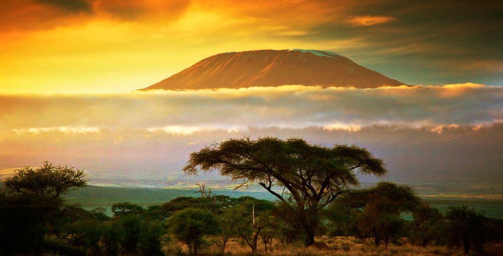 Swahili Beach Resort 5* + Safari