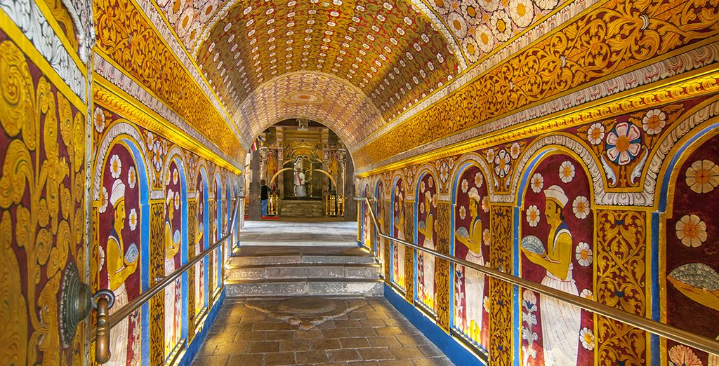 Tour dello Sri Lanka in 8 o 10 notti