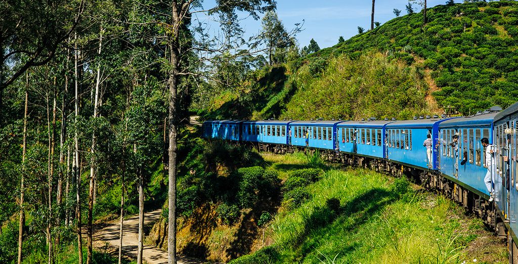 Tour dello Sri Lanka in 8 o 10 notti