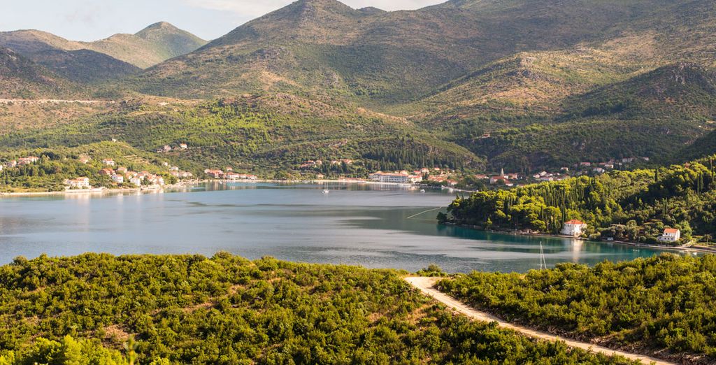 Hotel Delfin Bijela + Hotel Osmine