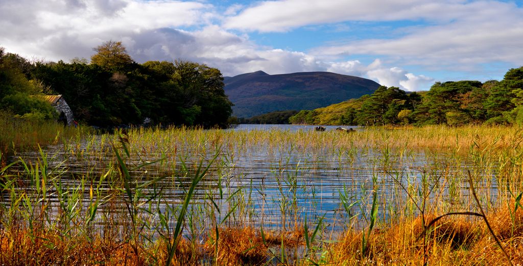 Autotour delle bellezze dell'Irlanda