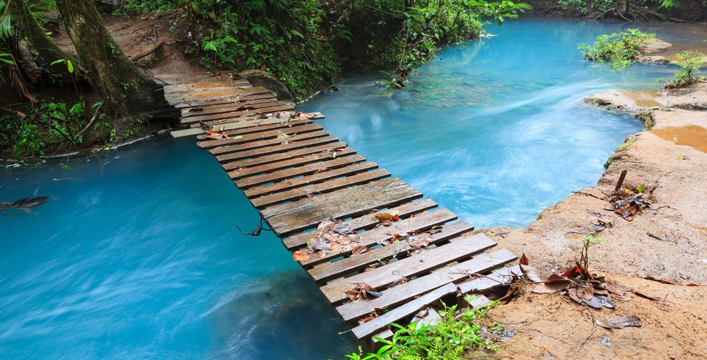 Autotour della Costa Rica