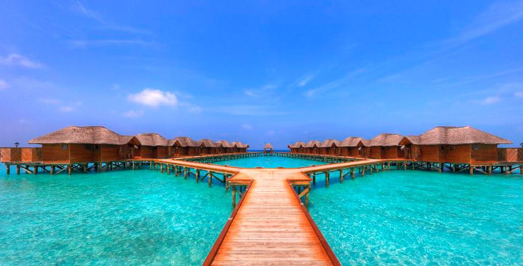 Minitour Sri Lanka 5 giorni / 4 notti & Fihalhohi Island Resort 4*