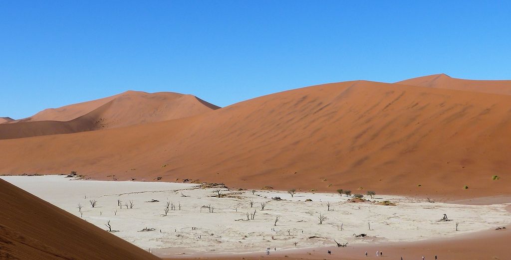 Fly& drive alla scoperta della Namibia