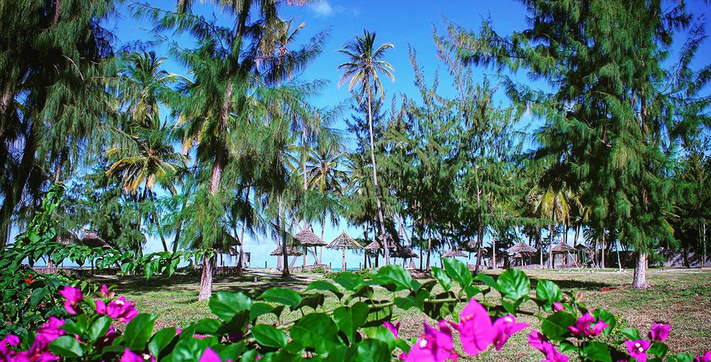Khulala Ocean View Bungalows