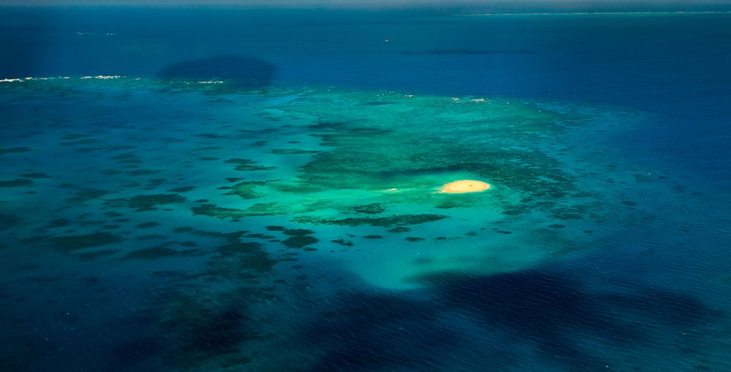 Tour alla Scoperta dell'Australia