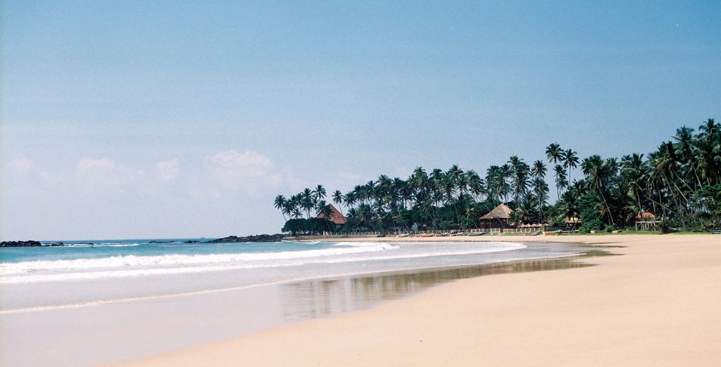 Tour dello Sri Lanka con possibile estensione mare