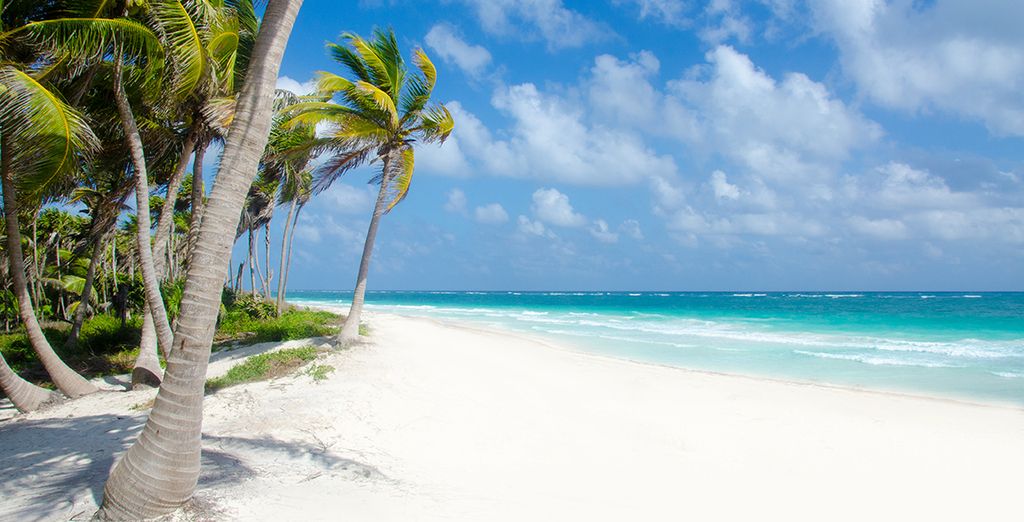 Iberostar Selection Paraiso Maya 5*