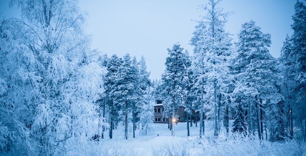Esperienza in Lapponia con soggiorno opzionale a Rovaniemi