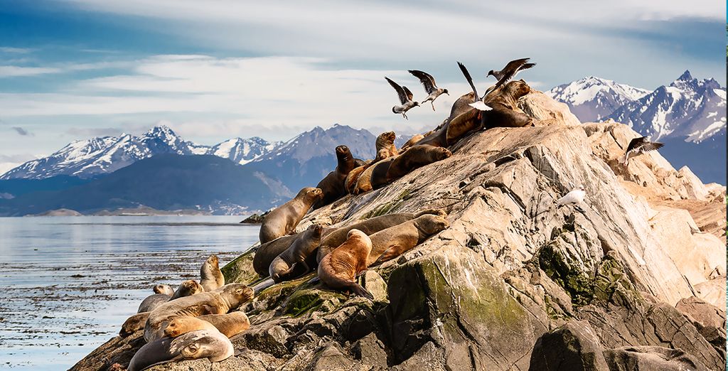 Tour da Santiago alla Patagonia