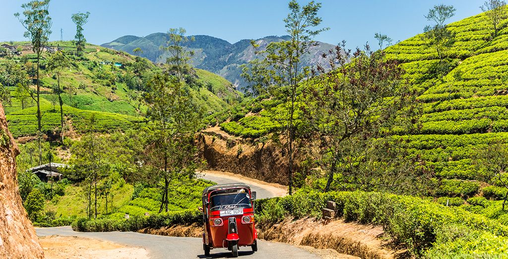 Tour dello Sri Lanka in 5 notti + estensione mare