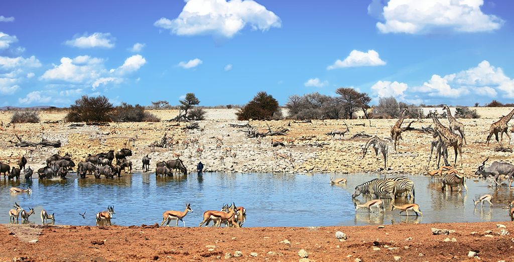 Tour Namibia Adventure