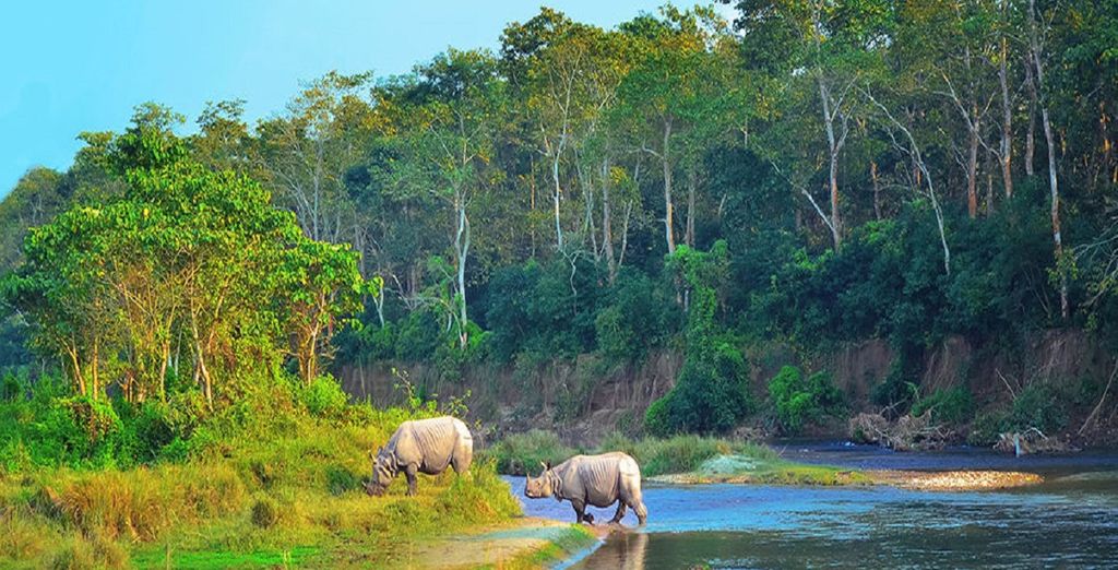 Tour tra le gemme del Nepal