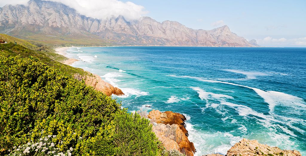 Tour del Sud Africa: da Cape Town a Port Elisabeth