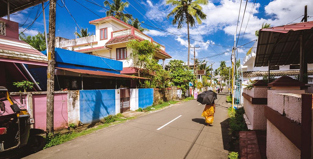 Tour privato del Kerala e soggiorno benessere Ayurvedico