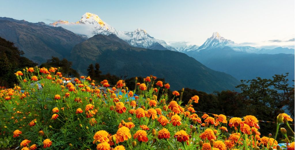 Tour tra le gemme del Nepal