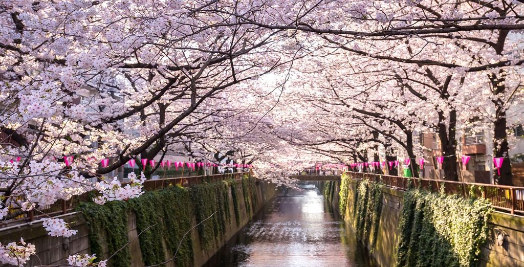 Combinato Tokyo + Kyoto in libertà