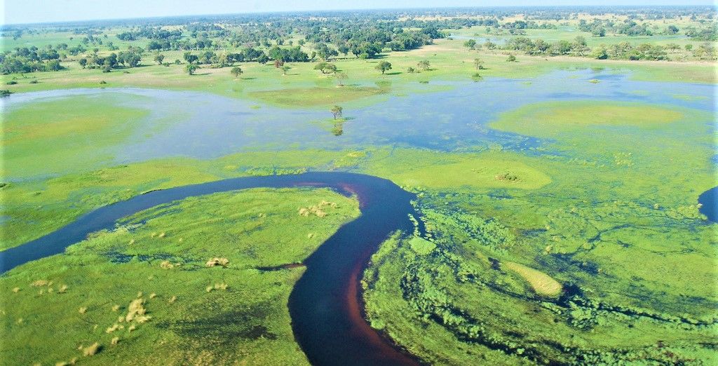 Selvaggio Botswana in campo tendato
