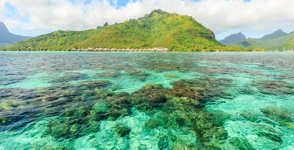 Combinato Polinesia: Isole della Società e Tuamotu