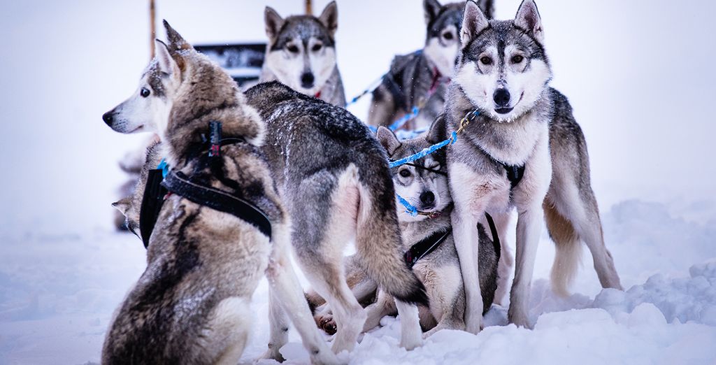 Avventura polare in Svezia, Finlandia e Norvegia
