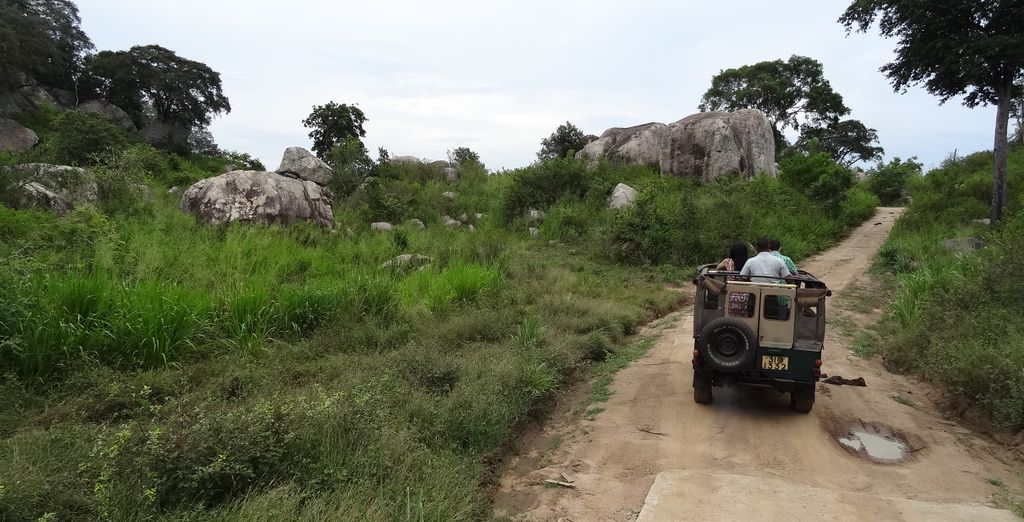 Selvaggio Botswana in campo tendato