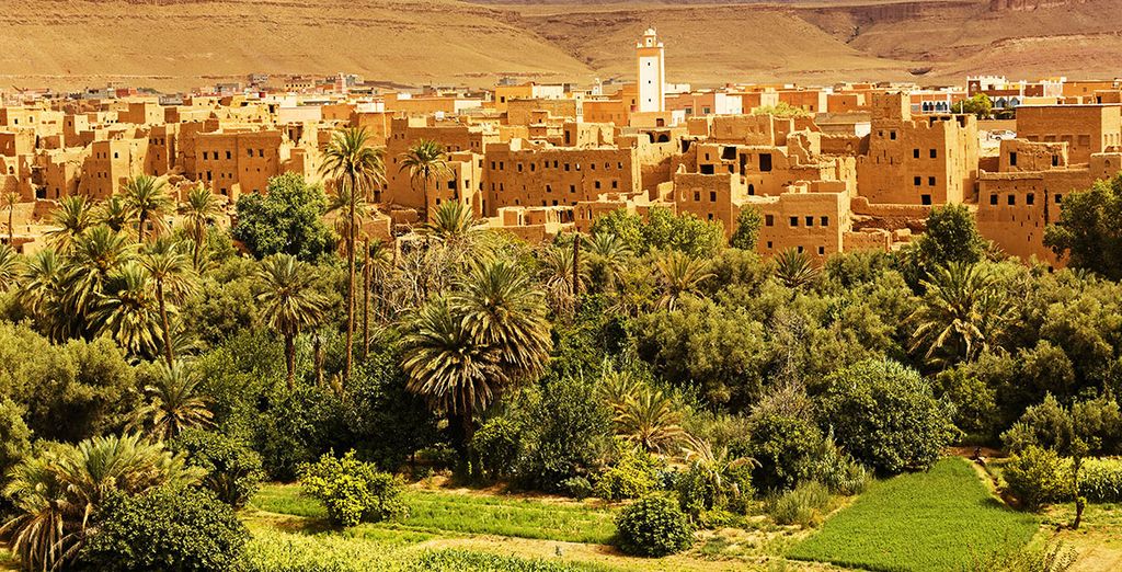 Tour tra Kasbah e Oasi 