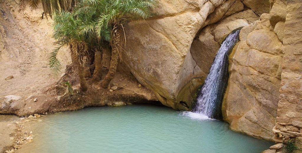 Tunisia tra deserto, oasi, palmeti e laghi salati