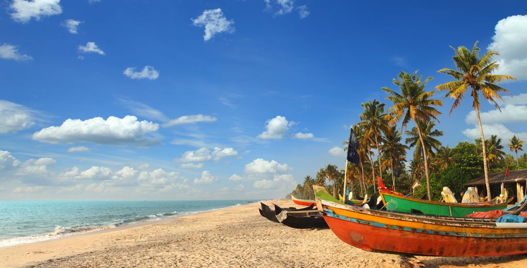 Tour privato del Kerala e soggiorno benessere Ayurvedico