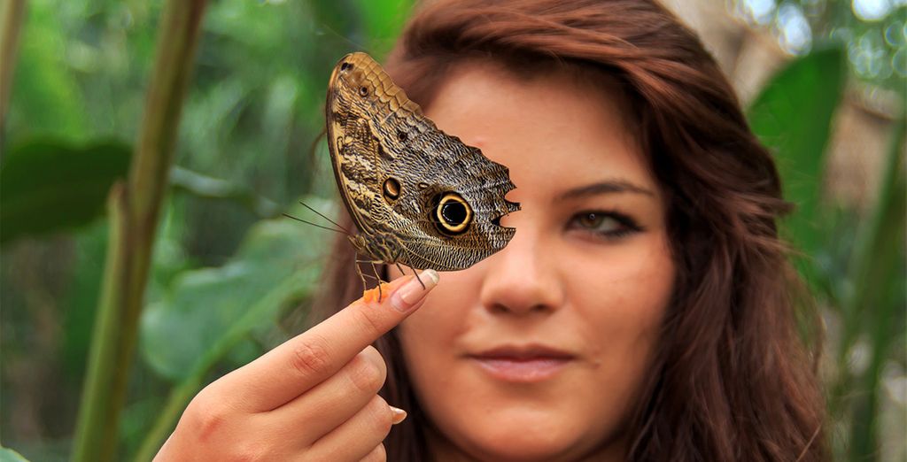 Crociera dell'Amazzonia ecuadoriana con estensione a Quito e Cotopaxi