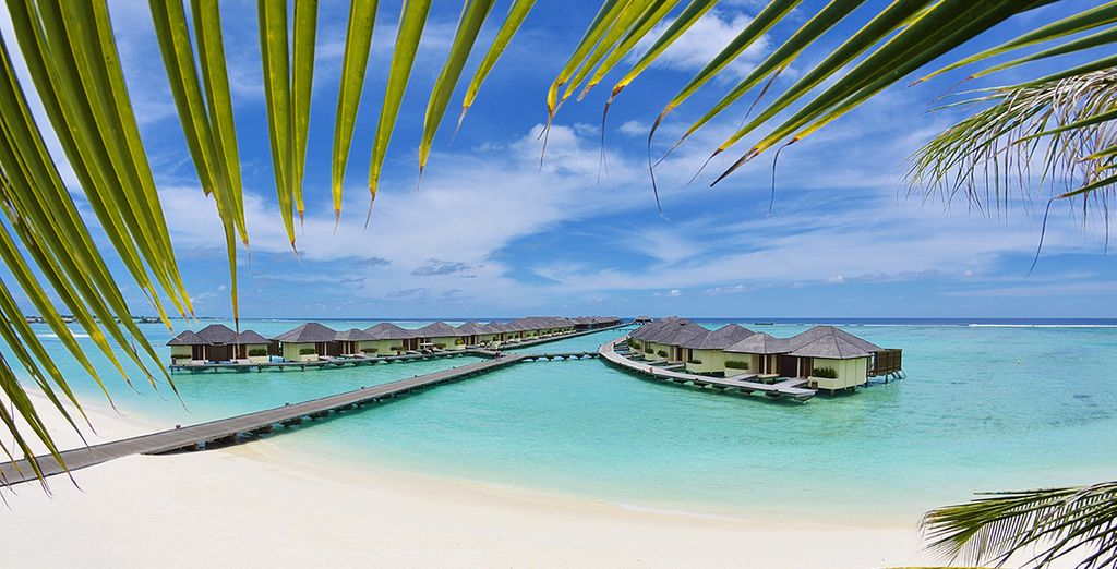 Tour Sri Lanka + Paradise Island Beach Resort & Spa 5*