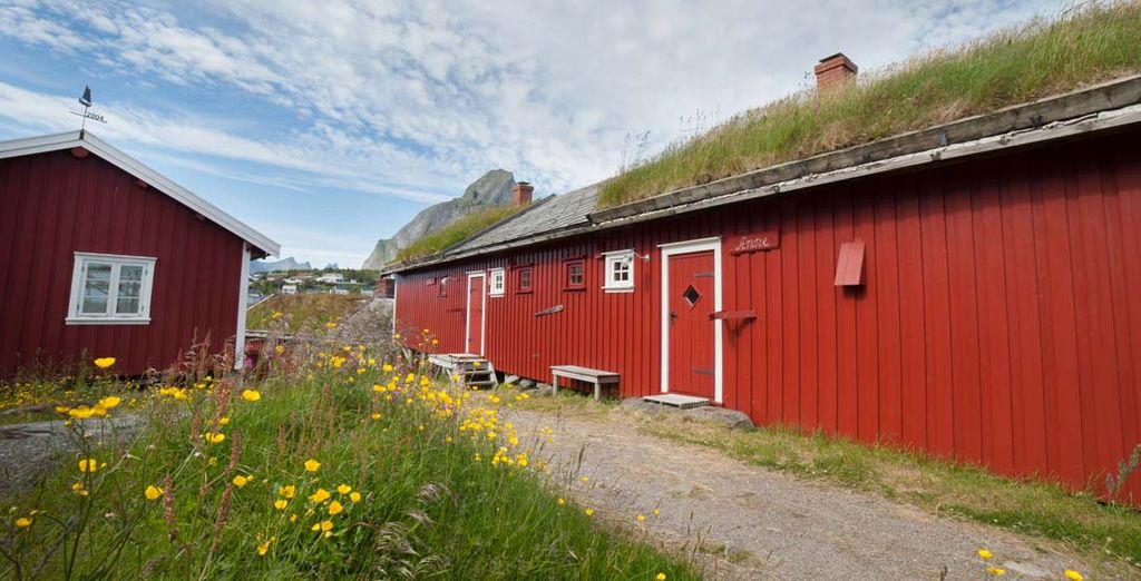 Estate alle isole Lofoten con soggiorno a Oslo e noleggio auto incluso