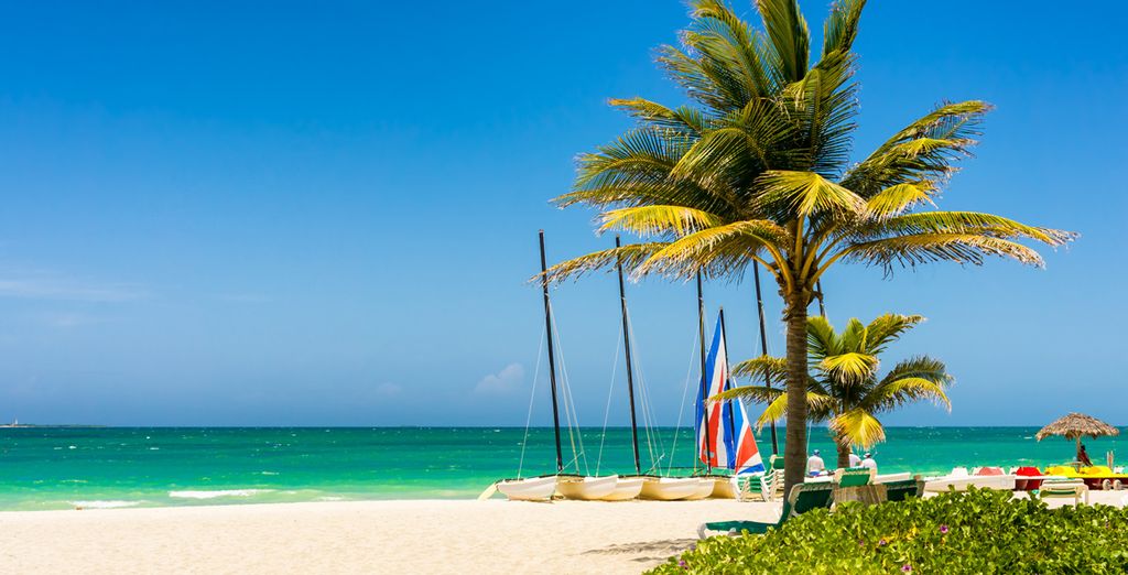 Tour di Cuba a 360°, mare, storia e natura 