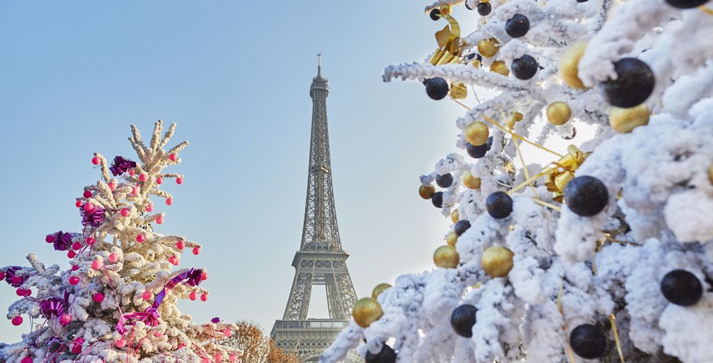 Hotel Sofitel Paris Baltimore Tour Eiffel 5* con possibile visita alla Torre Eiffel
