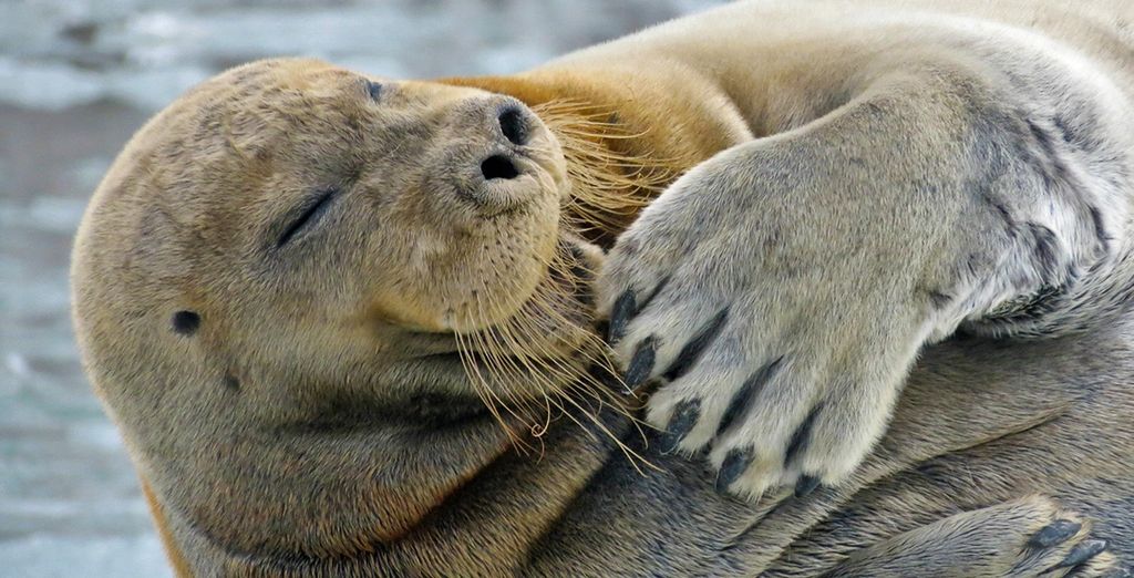 Alla scoperta di Oslo e Isole Svalbard