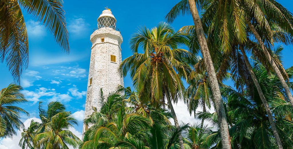 Tour Sri Lanka in hotel 4* + Garton's Cape 5*
