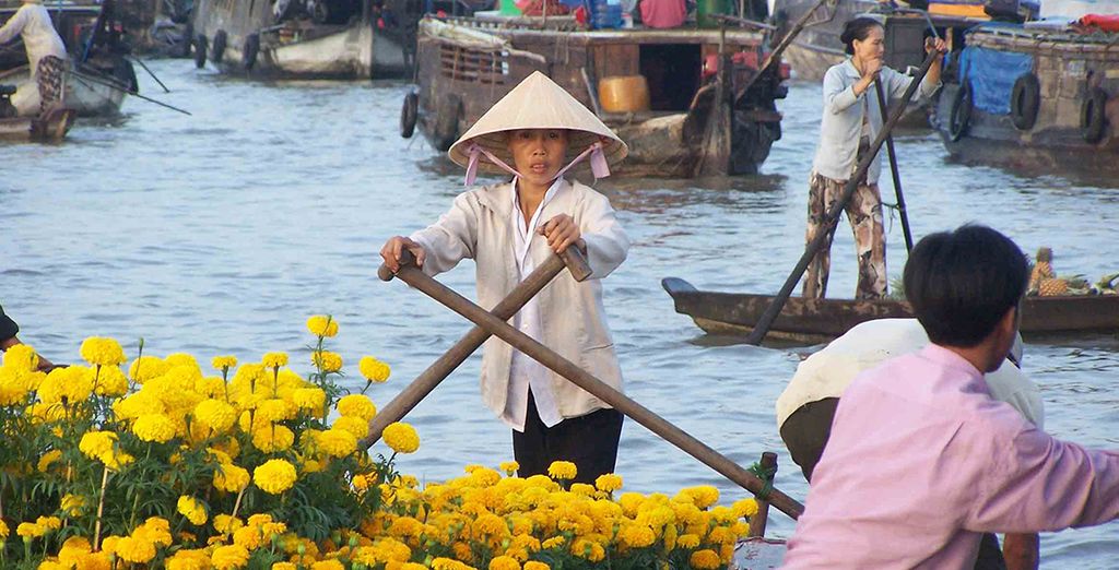 Tour Essenziale del Vietnam