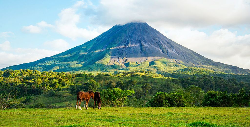Andaz Costa Rica Resort at Peninsula Papagayo 5* con possibile autotour