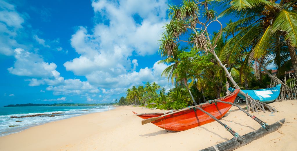 Tour culturale in Sri Lanka e mare a Weligama