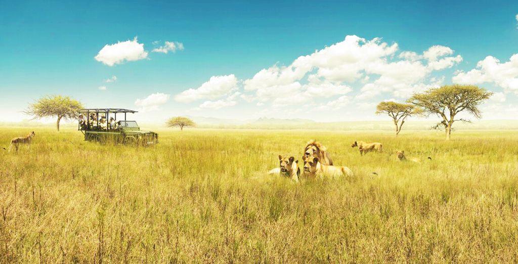 Safari in Sudafrica con possibile estensione al Radisson Blu Azuri Resort & Spa 4*S