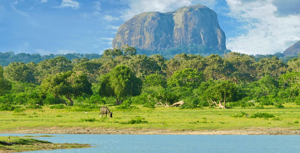 Speciale Capodanno - Tour Sri Lanka con estensione Mare
