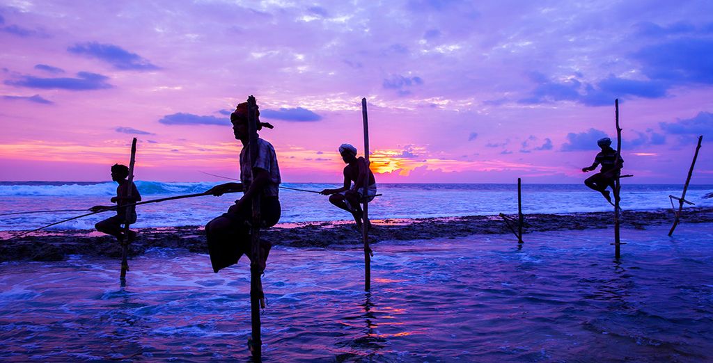 Tour Sri Lanka in hotel 4* + Garton's Cape 5*