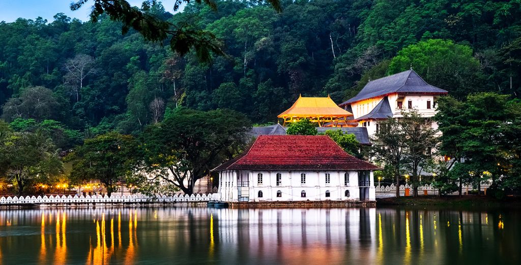 Tour Sri Lanka in hotel 4* + Avani Bentota Resort 5* 