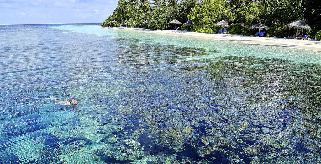 Tour 7 notti del Triangolo d'oro con possibile soggiorno alle Maldive